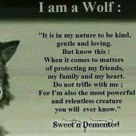 Meet your Posher, Tyler - Picture 1 of 1